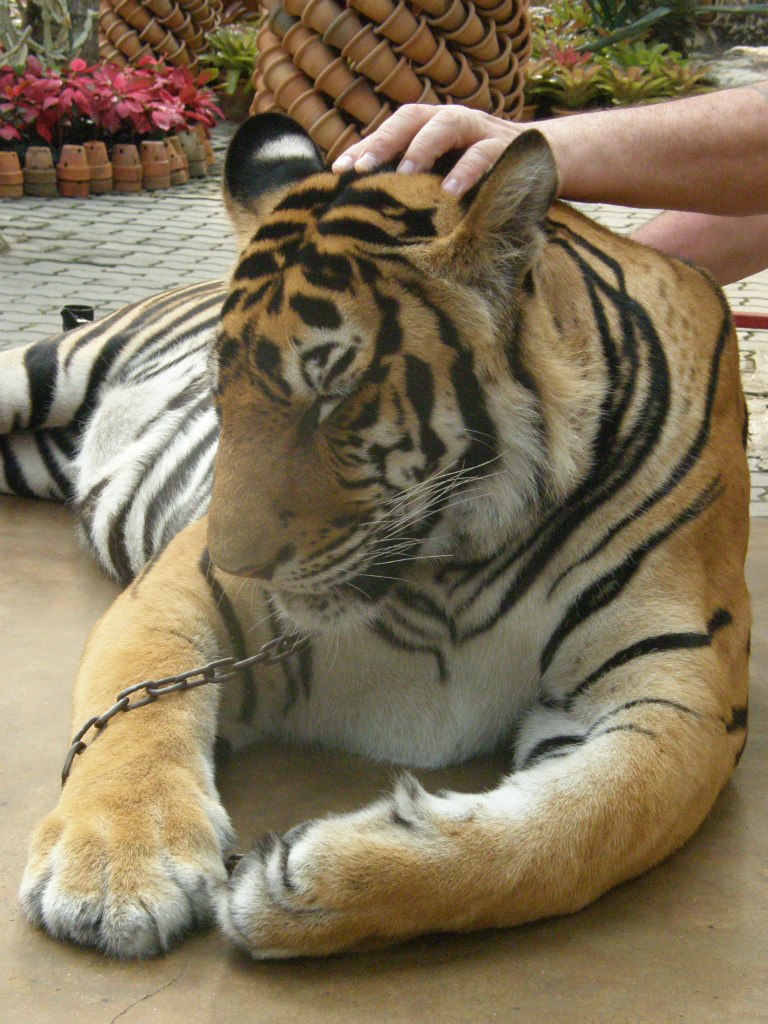 Алина Лапшина | Москва