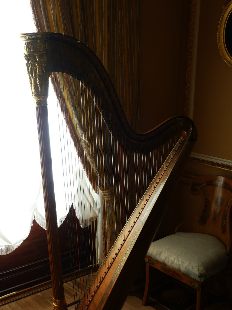 Анна Домнишор | Долгопрудный