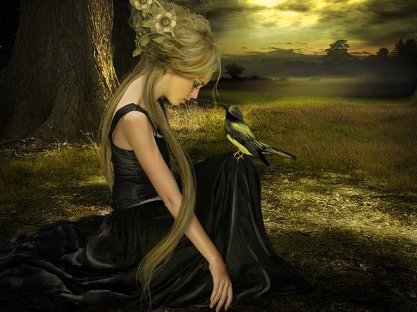 Ярослав Бондаренко | 