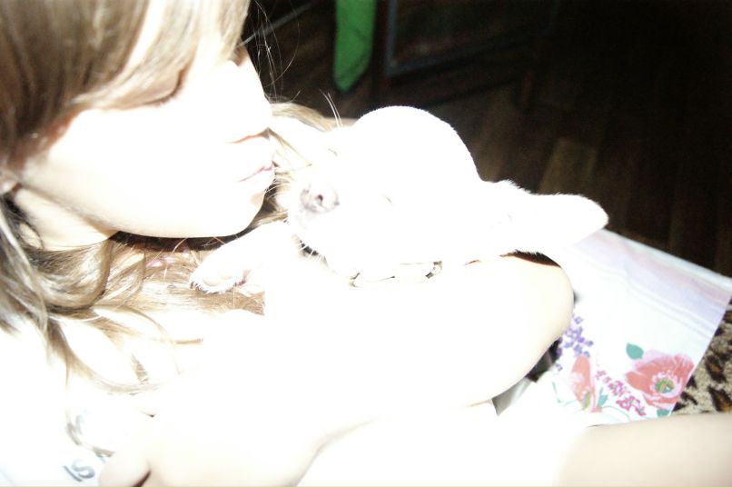 Анастасия Шмакова ♥♥Феечка из клуба Винкс♥♥ | 