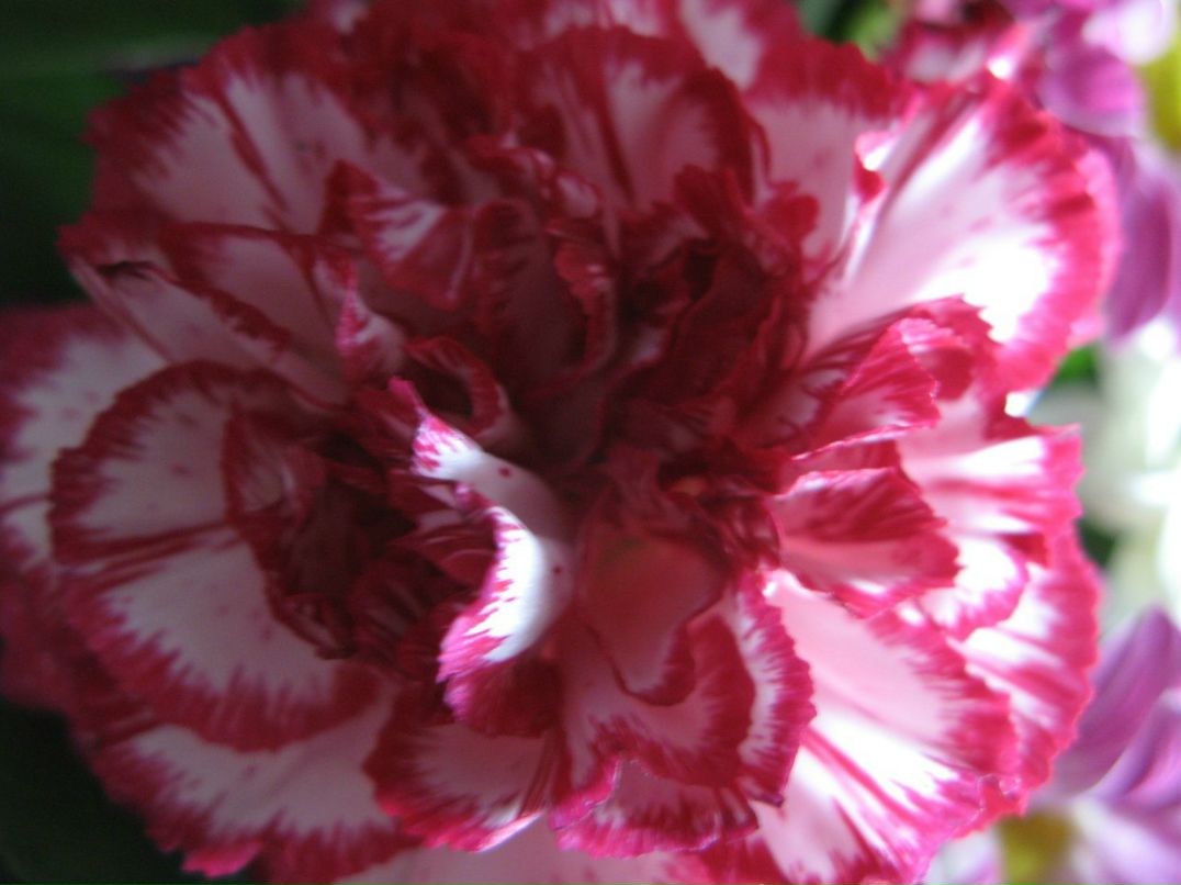 Юлия Гусарова | Москва