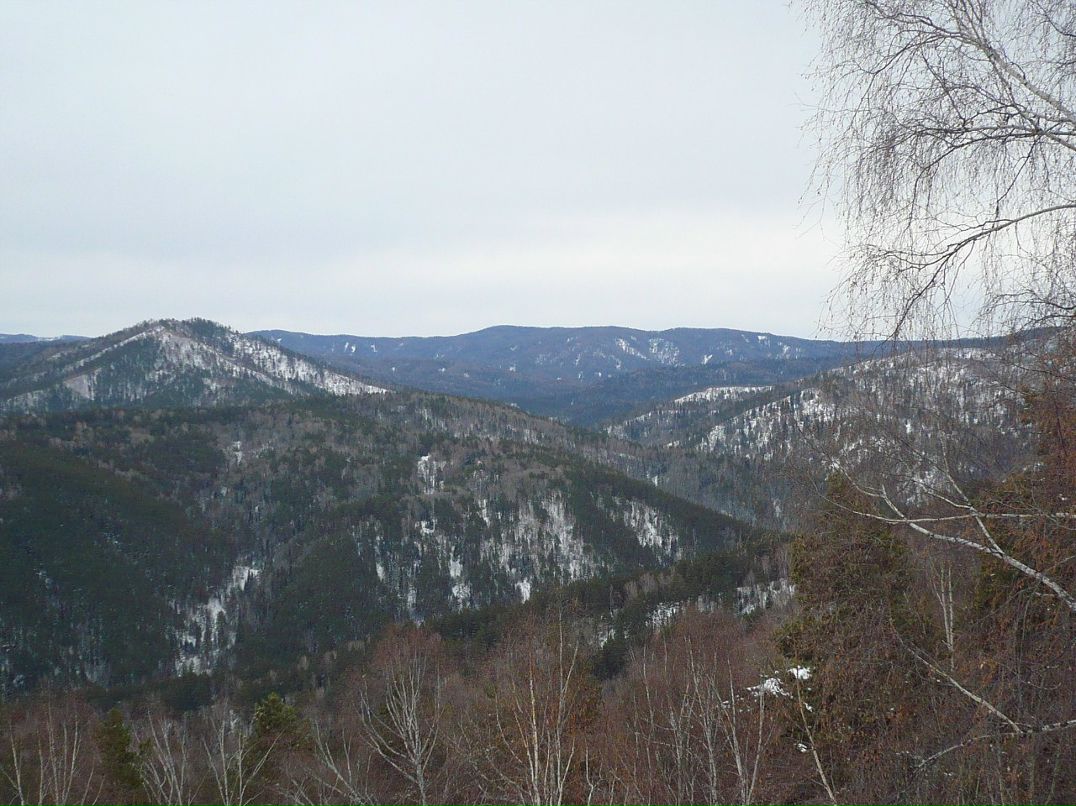 Сергей Рябухин | Калининград