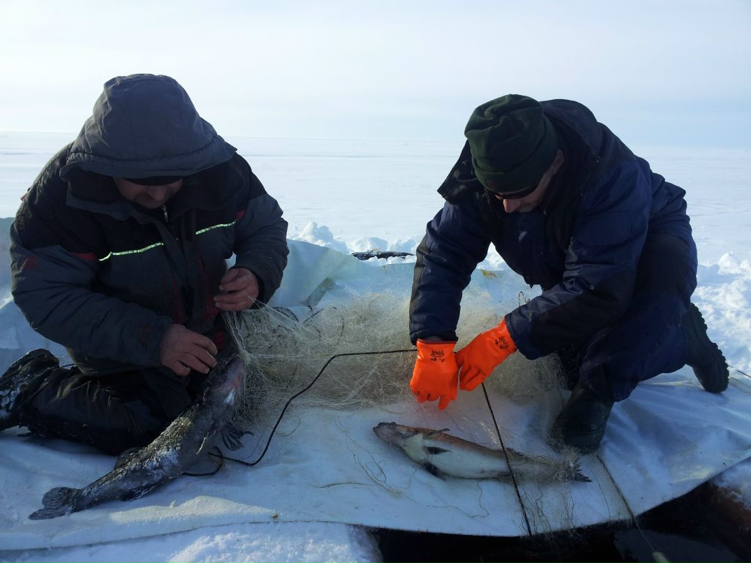 Игорь Груенко | Петрозаводск