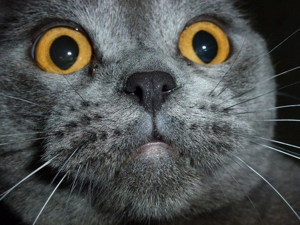 Оля Князева | Уфа