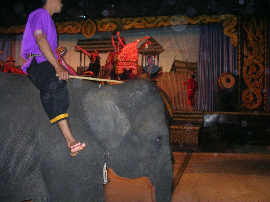 Айгуль Липовская | Уфа