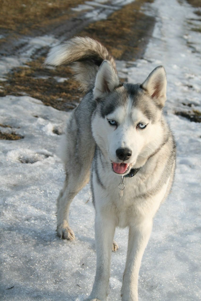 Полина Кокорина | Тверь