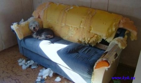 Эля Ахмадеева | Тольятти