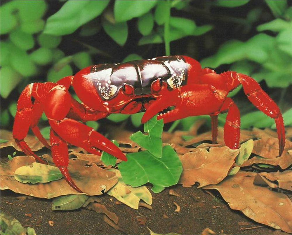 Андрей Рожков | Санкт-Петербург