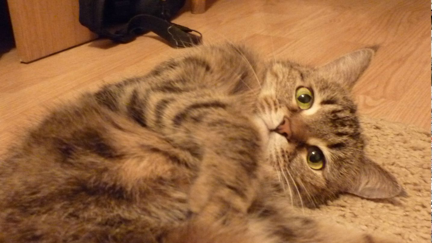 Николай Азимов | Таллин