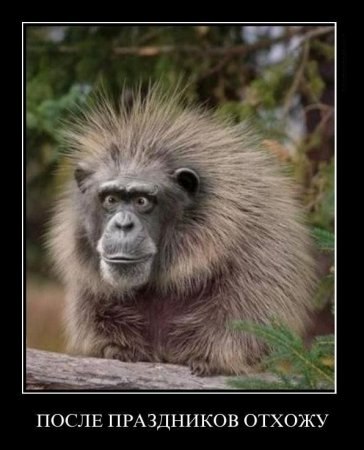 Игорь Головня Гарик | Мариуполь