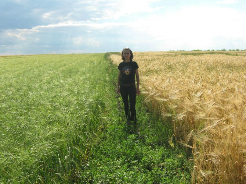 Андрей Барсегян | Запорожье