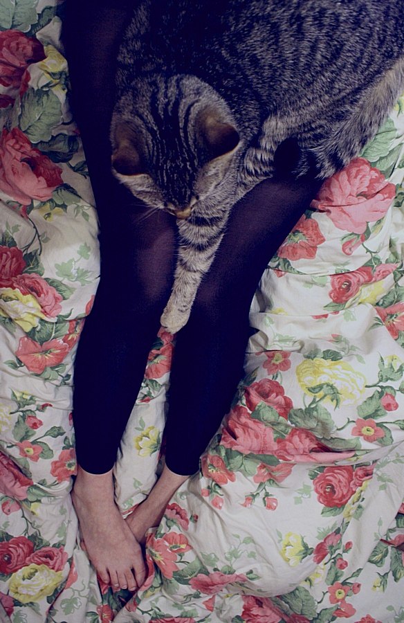 Александра Шишова | Владивосток