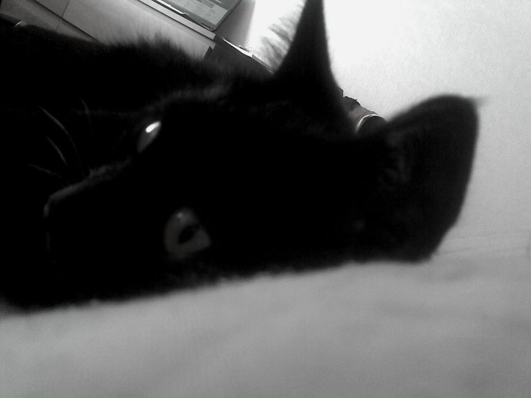 Наташка Куликова | 