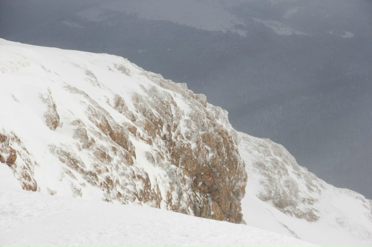 Алексей Пренко | Николаевка