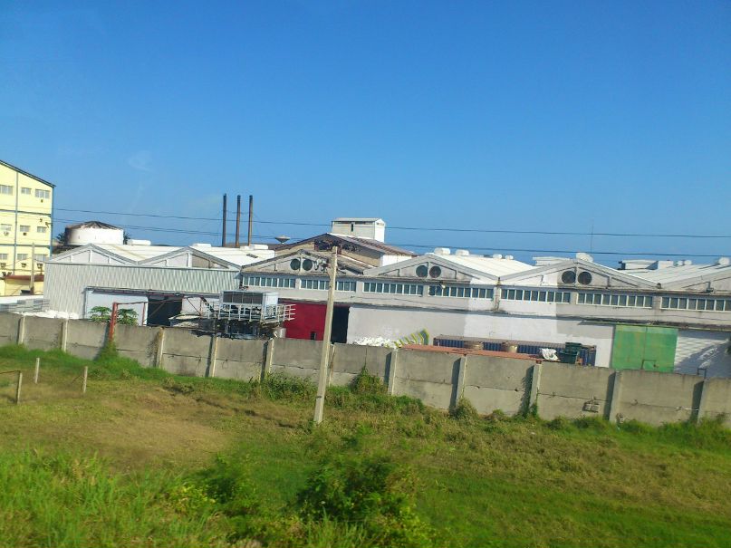 Елена Янакова | Зеленоград