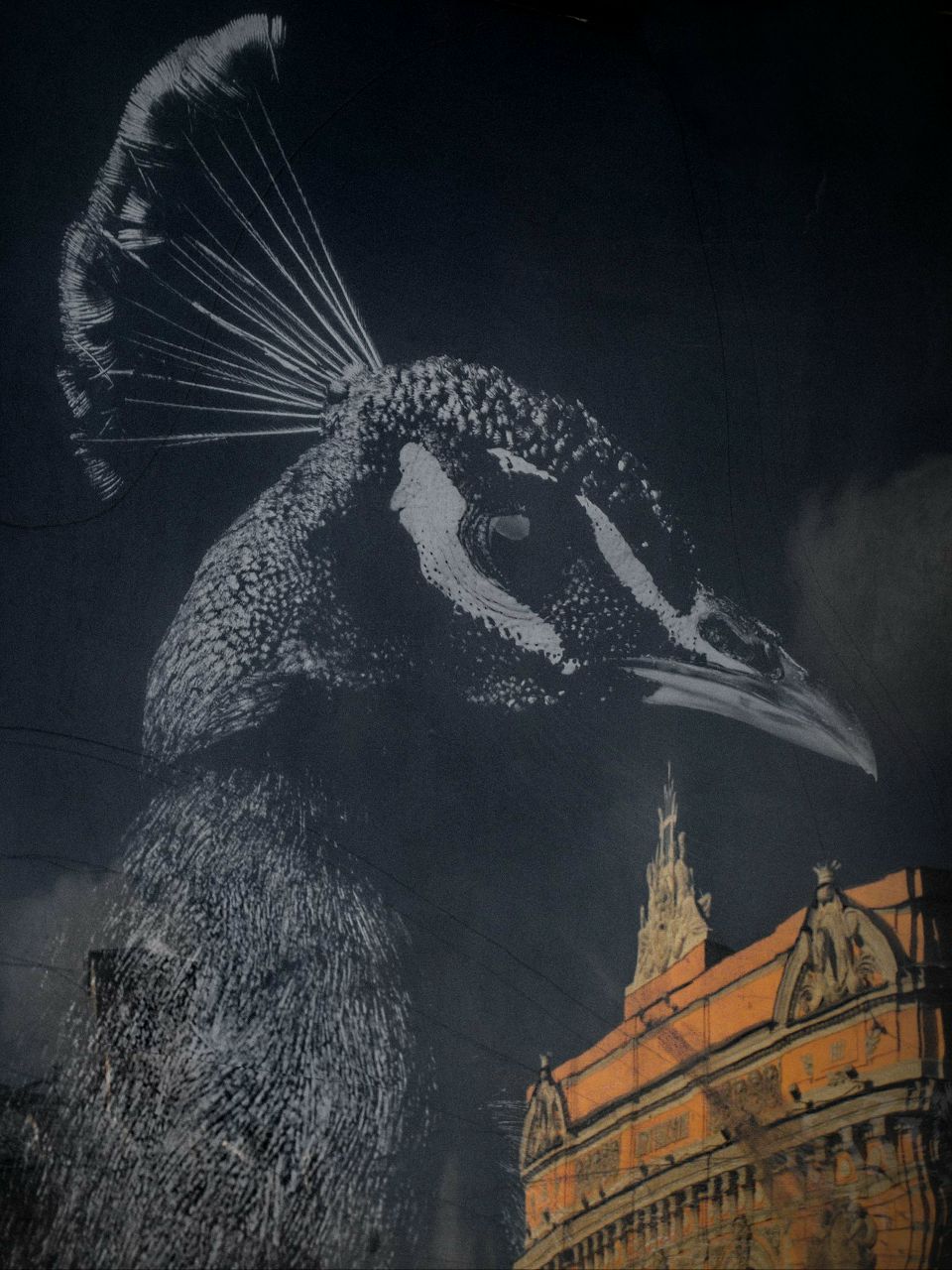 Александр Карасев Сергеевич | Санкт-Петербург