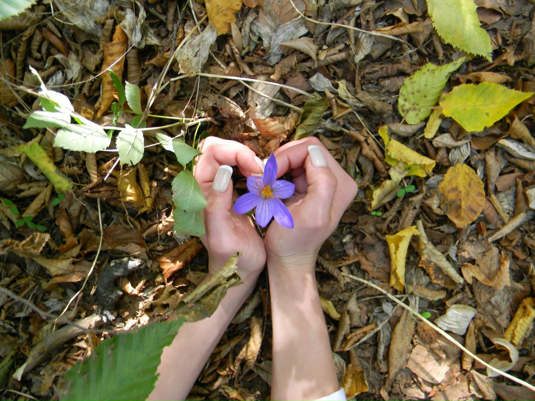 Маша Лукашевич | Дружковка