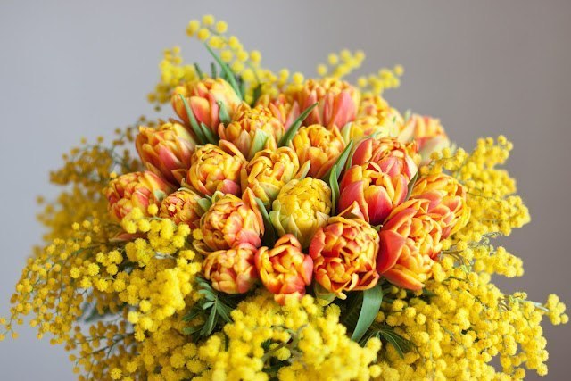 Лида Артёмова | Санкт-Петербург