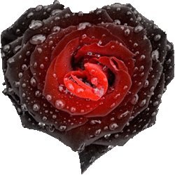 Лариса Федосова | Москва