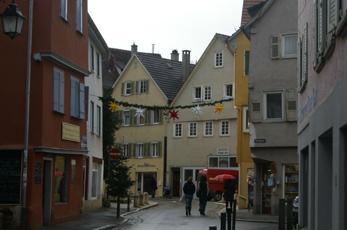 Виолетта Кошлак | Николаев