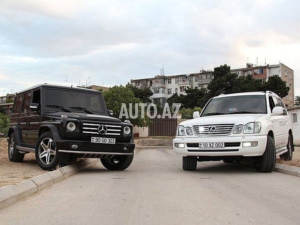 Василько Готра | Ужгород