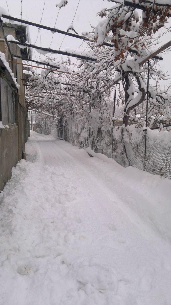 Вардан Галстян | Ереван