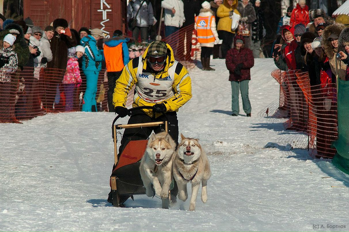 Алексей Ильин | Новосибирск