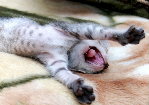 Алексей Широков | Владивосток