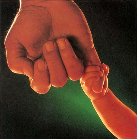 Вячеслав Соснин | Березники