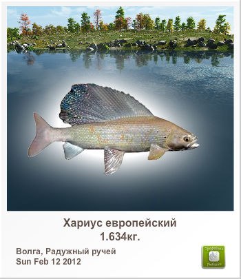 Рушан Рахимов | Нижнекамск