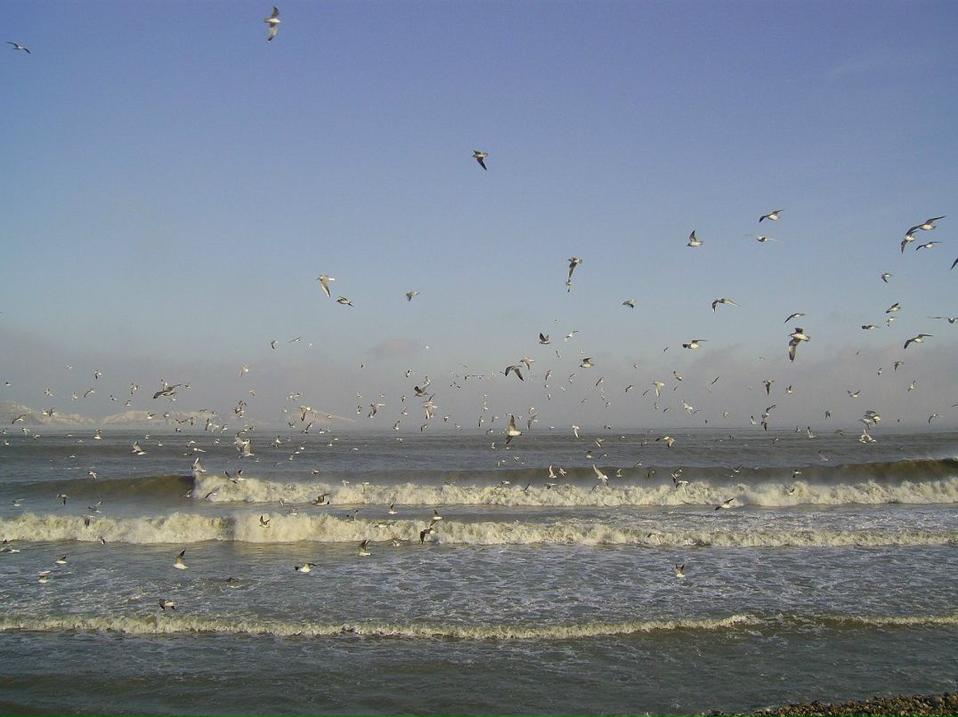 Николай-Lucik Баранков | 