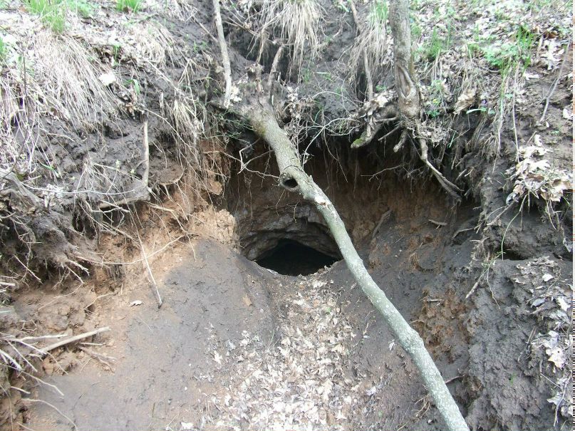 Максим Хмель | Изюм