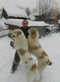 Александр Звездин