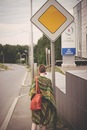 Фотография Васильевой Светланы