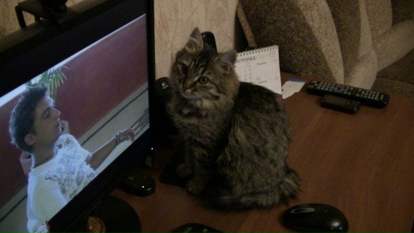 Алла Аннюк | Одесса