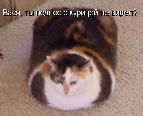 №18, Олександр Крипиця, 35 лет №18, Олександр Крипиця, 35 лет