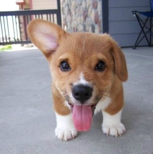 Nurlan Tabarekov | Новосибирск