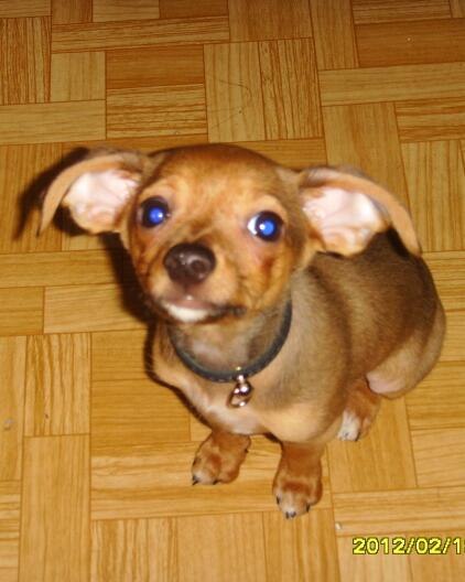 Вероничка Цирук | Санкт-Петербург