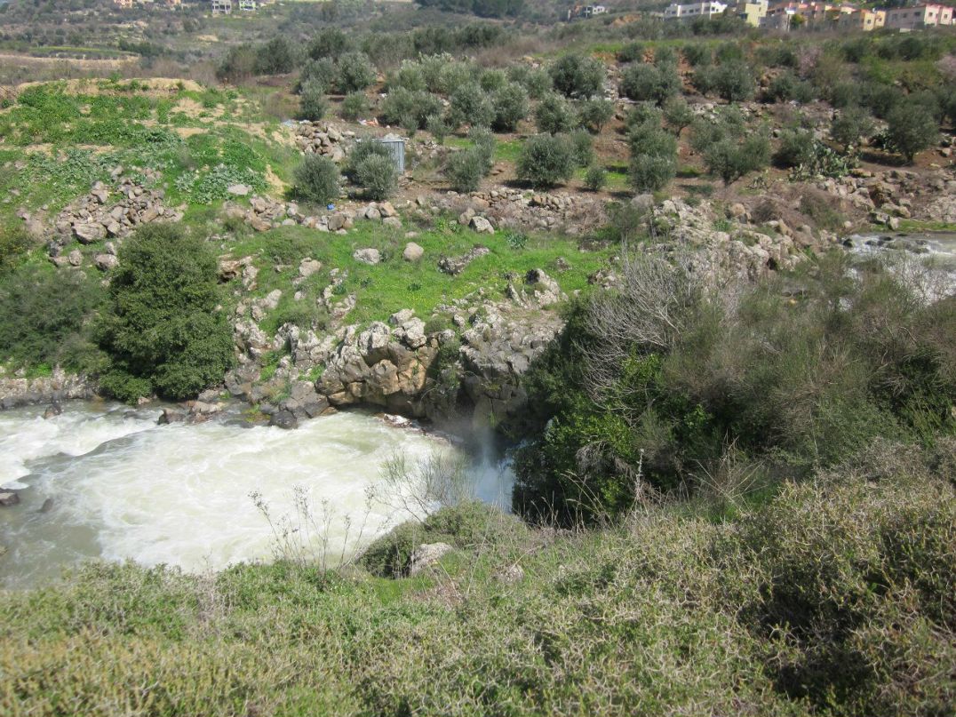 Дарья Хмельницкая Борисовна | Киев