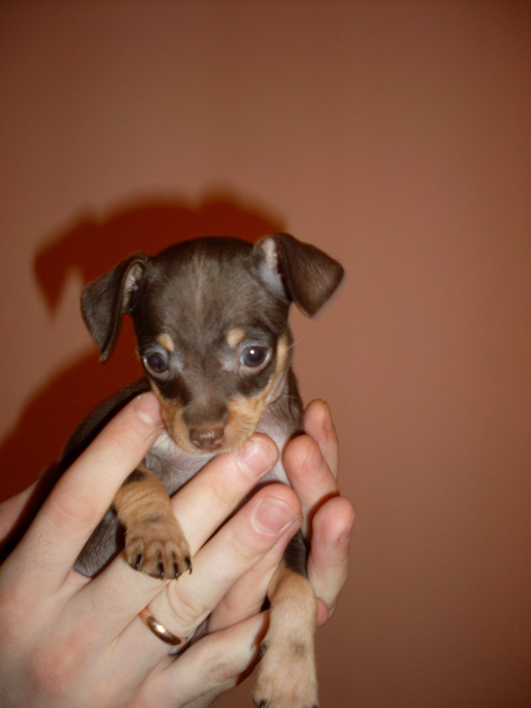 Надин Наумовна | Балашиха