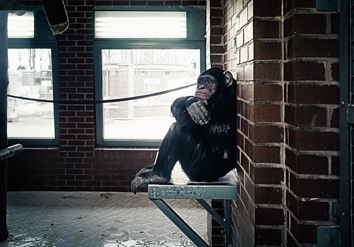 Лена Белякова | Санкт-Петербург