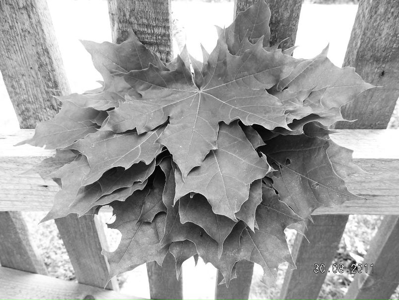 №190, Анастасия Пузырёва, 38 лет, Москва №190, Анастасия Пузырёва, 38 лет, Москва