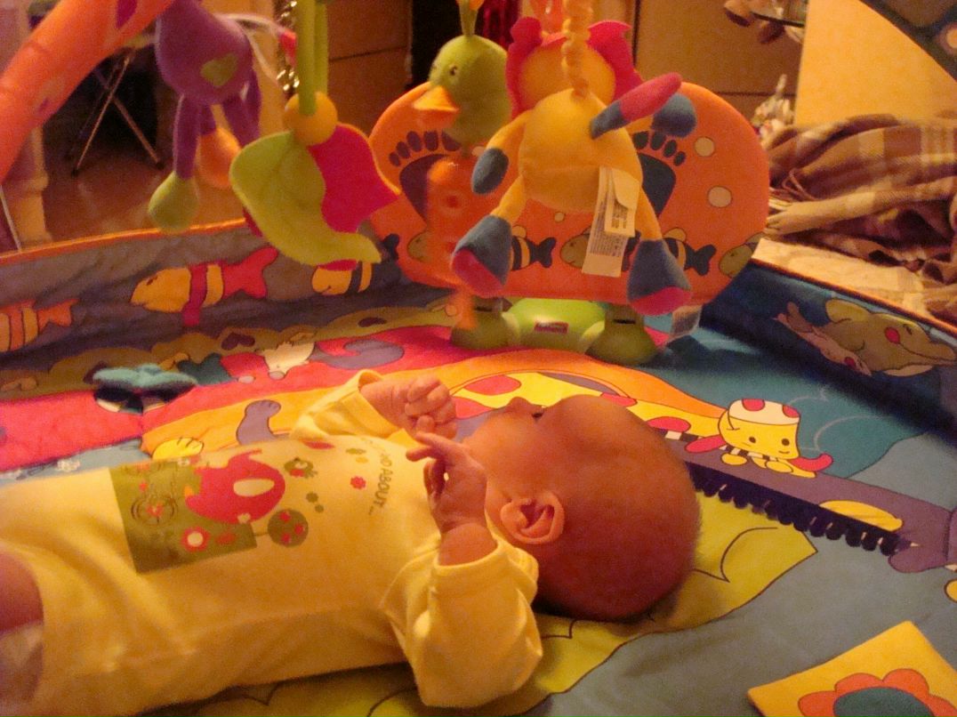 Екатерина Токаревская | Москва