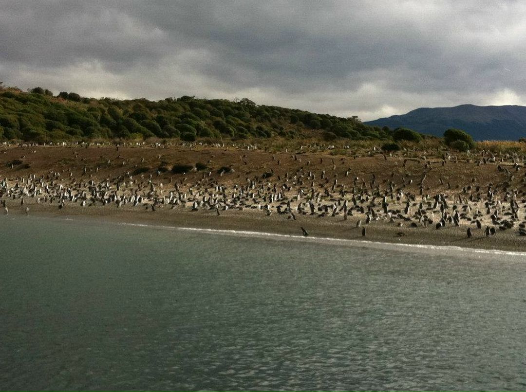 Наталья Маслова | Москва