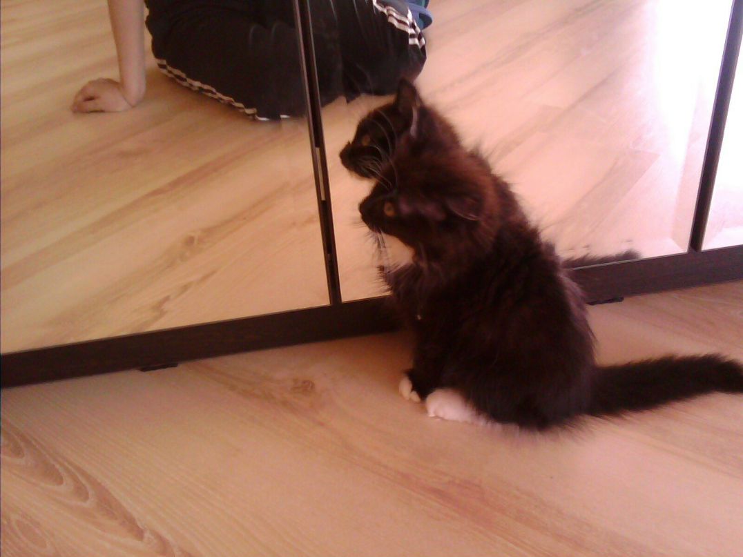 Ирина Вервекина | Нефтеюганск