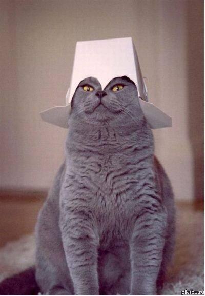 Владимир Котенко | Харьков