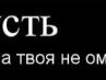 Дмитрий Ефимов С144СС | Салават