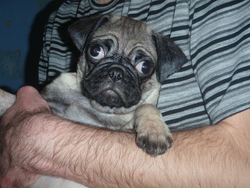 №139, Наталия Зубко, Одесса №139, Наталия Зубко, Одесса