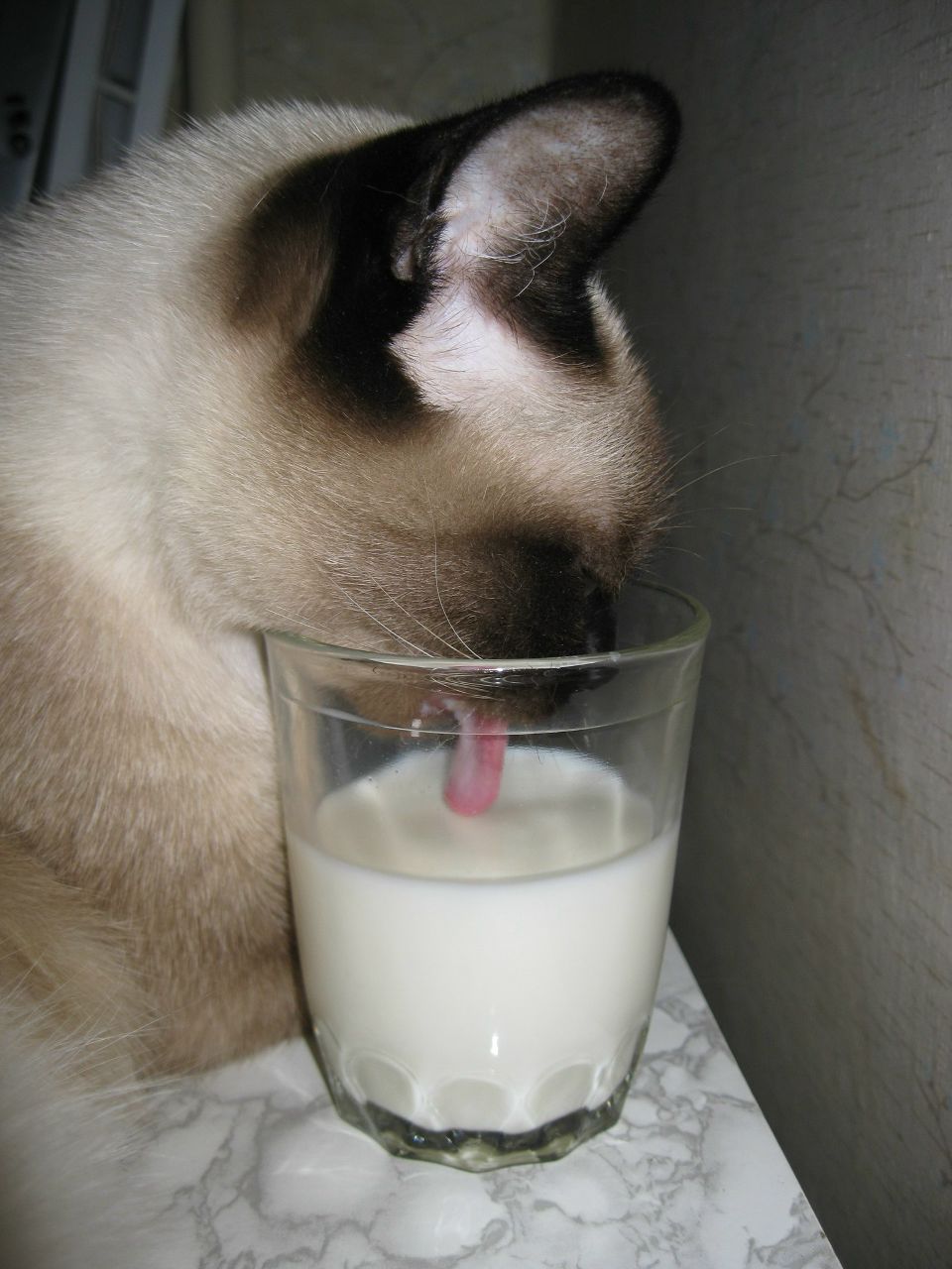 Ник-ник Amadey | Харьков