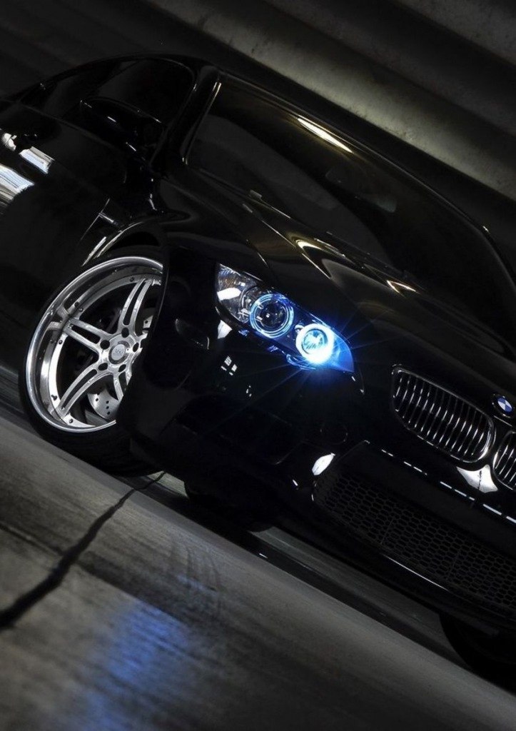 Михаил Рябчиков | Йошкар-Ола